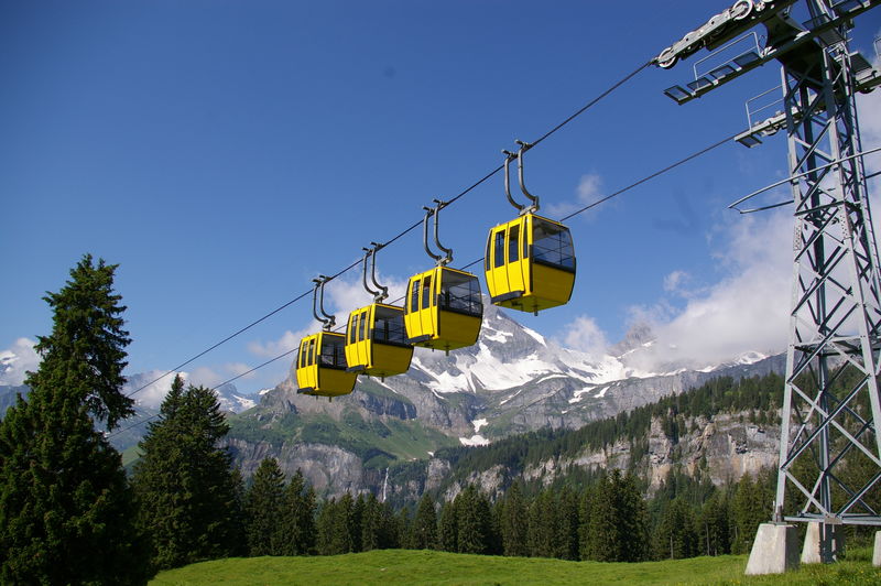 IMG-BLOG