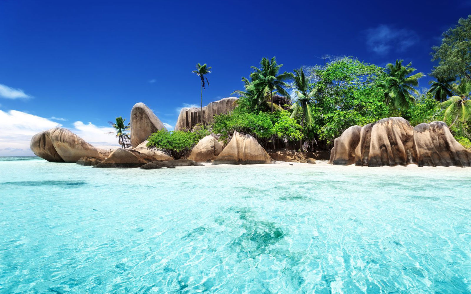 IMG-BLOG